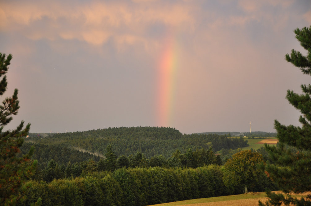 Hotel-Krone-Alpirsbach malerische Natur Kulisse Foto